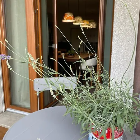 Lacasadipi - Ad Un Passo Da Milano - Fieramilanorho - H Galeazzi - Mind Appartement *